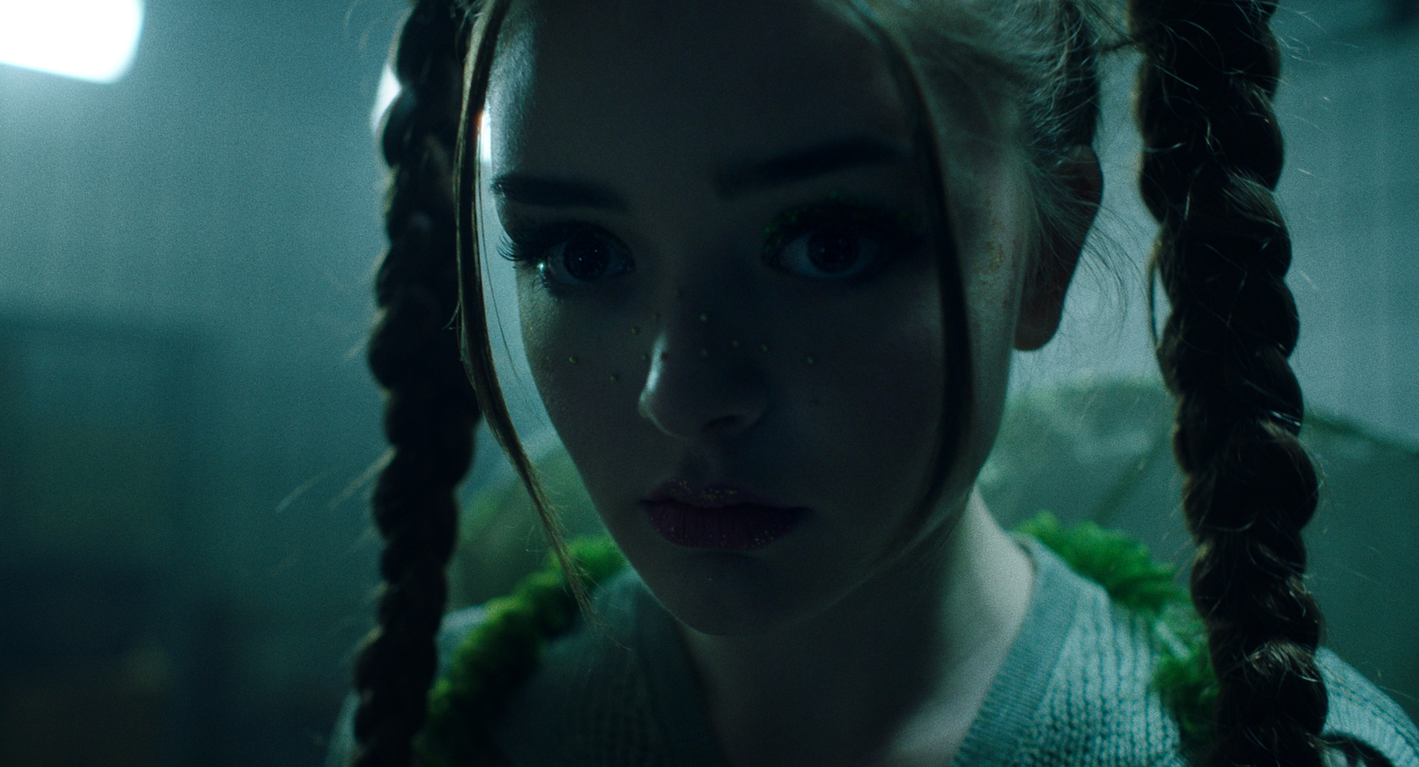 Papilio still 02
